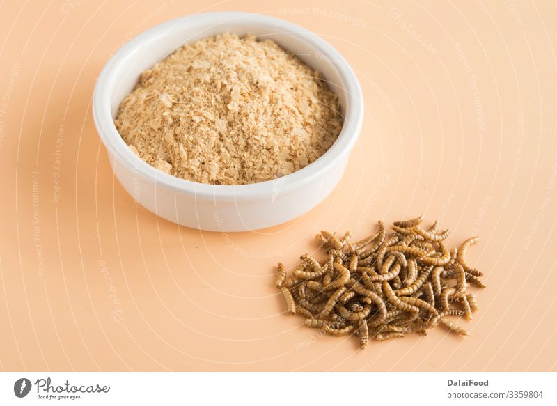 Mehl aus Wurmmehl auf braunem Hintergrund Lebensmittel Schalen & Schüsseln Löffel füttern essbar braten Insekt Larve Protein Farbfoto