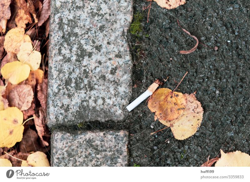 Müll Kippe Rauchen Umwelt Blatt Park Fußweg Zigarette Zigarettenstummel bedrohlich dreckig Ekel hässlich kaputt Krankheit Ärger Stress Enttäuschung Frustration