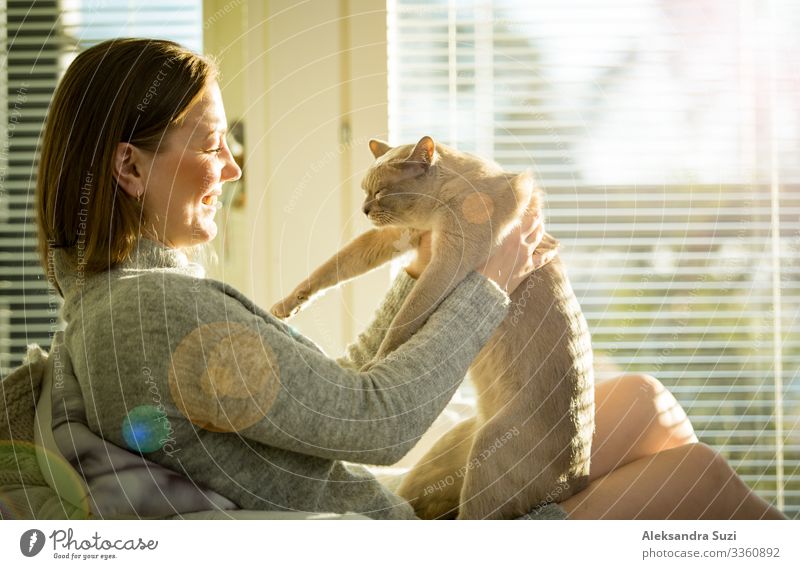 Frau sitzt zu Hause mit Katze Atmosphäre kalt Geborgenheit gemütlich Tasse niedlich träumen Junge Frau grau Fröhlichkeit Glück heimwärts Innenaufnahme