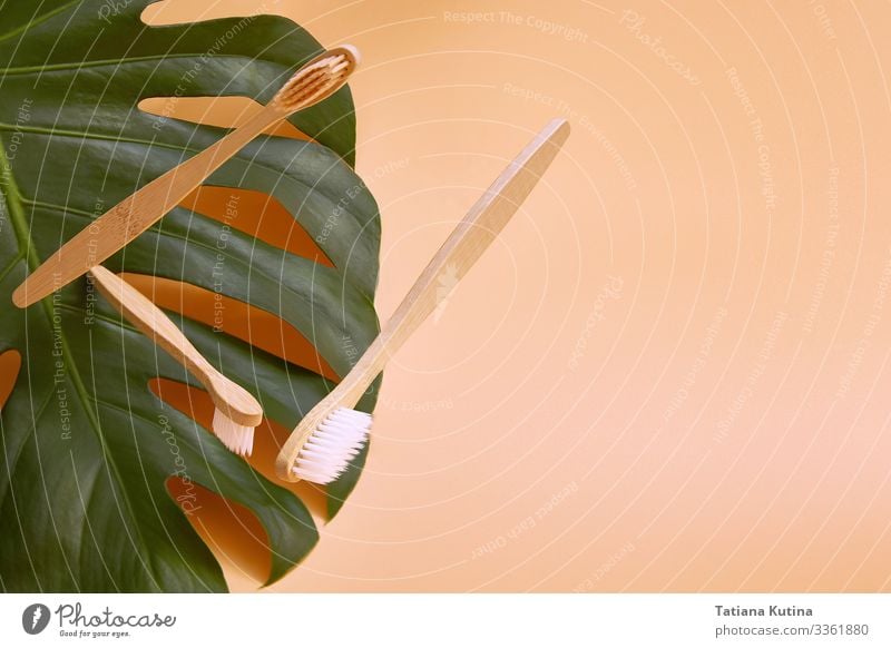 Hölzerne Bambus-Zahnbürsten im Flug auf einem Hintergrund. Lifestyle Gesundheitswesen Behandlung Medikament Wellness Zähne Umwelt Pflanze Blatt Holz frisch