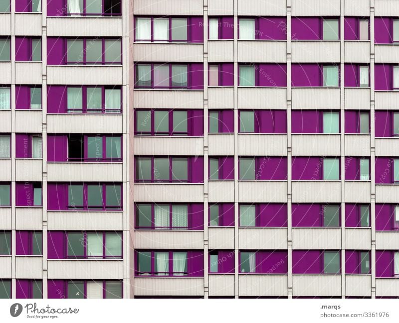 Lila Fassade lila Farbe weiß Mehrfamilienhaus wohnen Wohnraum Raster Linie Fenster stadt Gebäude Haus Hausfassade Bauwerk geometrisch