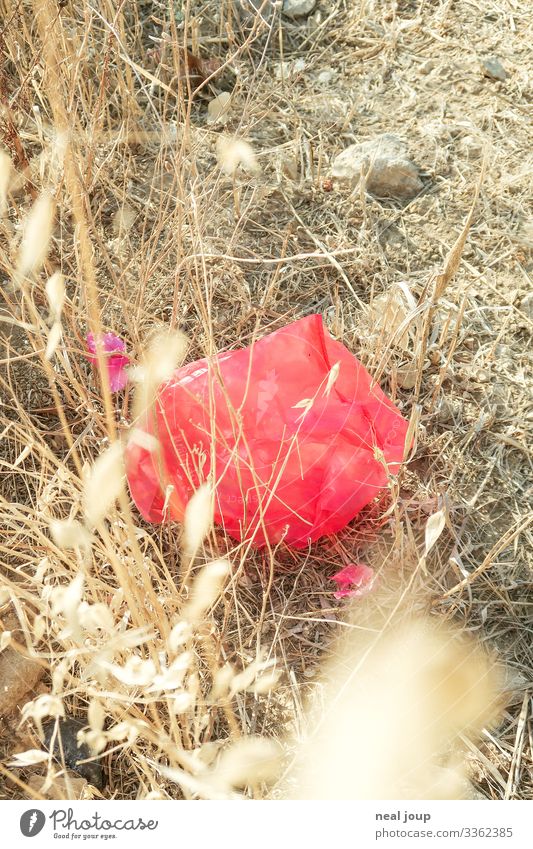 Elegantly wasted -VIII- kaufen Umwelt Natur Landschaft Sträucher Verpackung Plastiktüte Müll Kunststoff hängen liegen kaputt trashig trist trocken rot