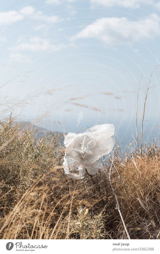 Elegantly wasted -II- Reichtum Umwelt Natur Sträucher Verpackung Kunststoffverpackung Plastiktüte Müll trashig trist Respekt ignorant Hemmungslosigkeit