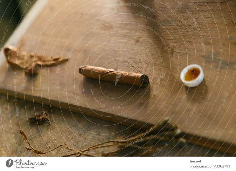 Herstellung von Zigarren , Vinales - Kuba Lifestyle Insel Tisch Mann Erwachsene Hand Natur Blatt Dorf Stadt Holz machen authentisch einzigartig braun Kubaner
