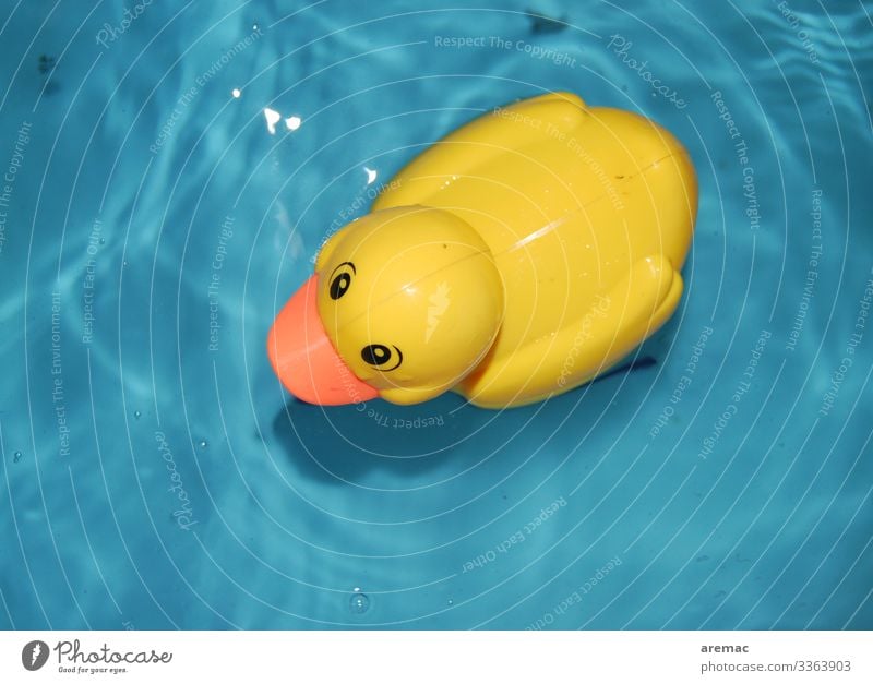 Ententeich Schwimmen & Baden blau gelb Gummi Spielzeug Wasser Badewanne Spielen Farbfoto Innenaufnahme Detailaufnahme Kunstlicht Vogelperspektive