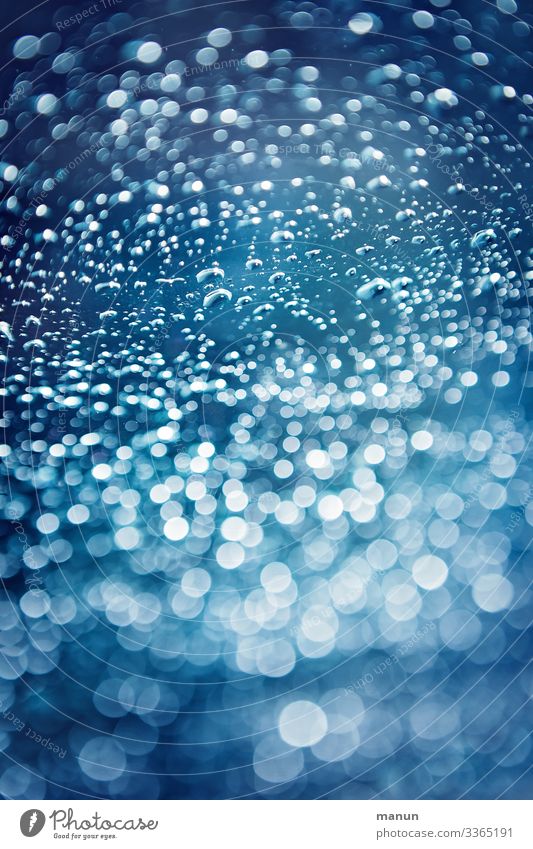 Regentropfen Natur Wasser Wassertropfen Wetter Unschärfe glänzend Flüssigkeit frisch nass natürlich Sauberkeit blau weiß Farbfoto Nahaufnahme Menschenleer Tag