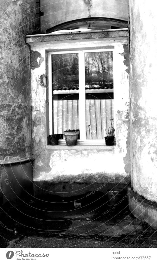 ::.. windows 3.1 ..:: Fenster Industrielandschaft Blumentopf Architektur alt Häusliches Leben verstecken