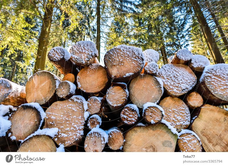 #Winterholz Umwelt Natur Landschaft Wetter Schönes Wetter Eis Frost Hagel Schnee Schneefall Baum ästhetisch Holz winterholz Baumstamm Forstwirtschaft Farbfoto