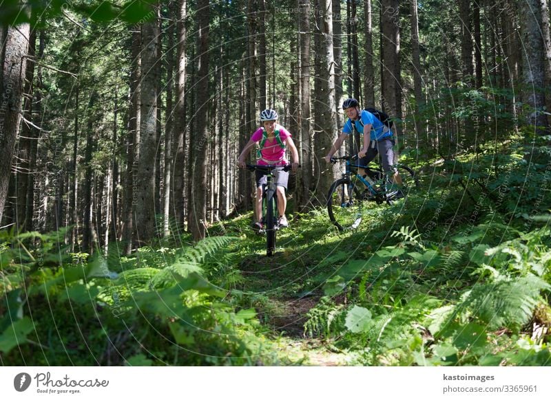 Aktives, sportliches Paar fährt Mountainbike auf einem anspruchsvollen Waldweg. Lifestyle Freude Glück schön Erholung Freizeit & Hobby Abenteuer Sommer