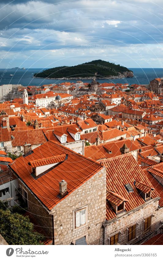 Dubrovnik Altstadt Rote Dächer Ferien & Urlaub & Reisen Meer Insel Haus Kultur Stadt Gebäude Architektur historisch oben rot Kroatien Großstadt Wahrzeichen