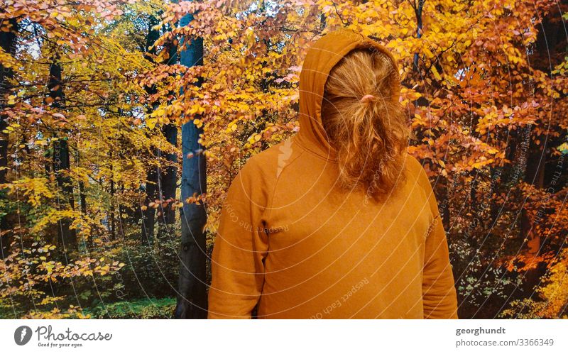 Mann hat seine langen roten Haare vor seinem Gesicht zu einem Zopf gebunden. Er hat einen braunorangen Kaputzenpullover an und steht vor einem großen Foto eines Herbstwaldes.