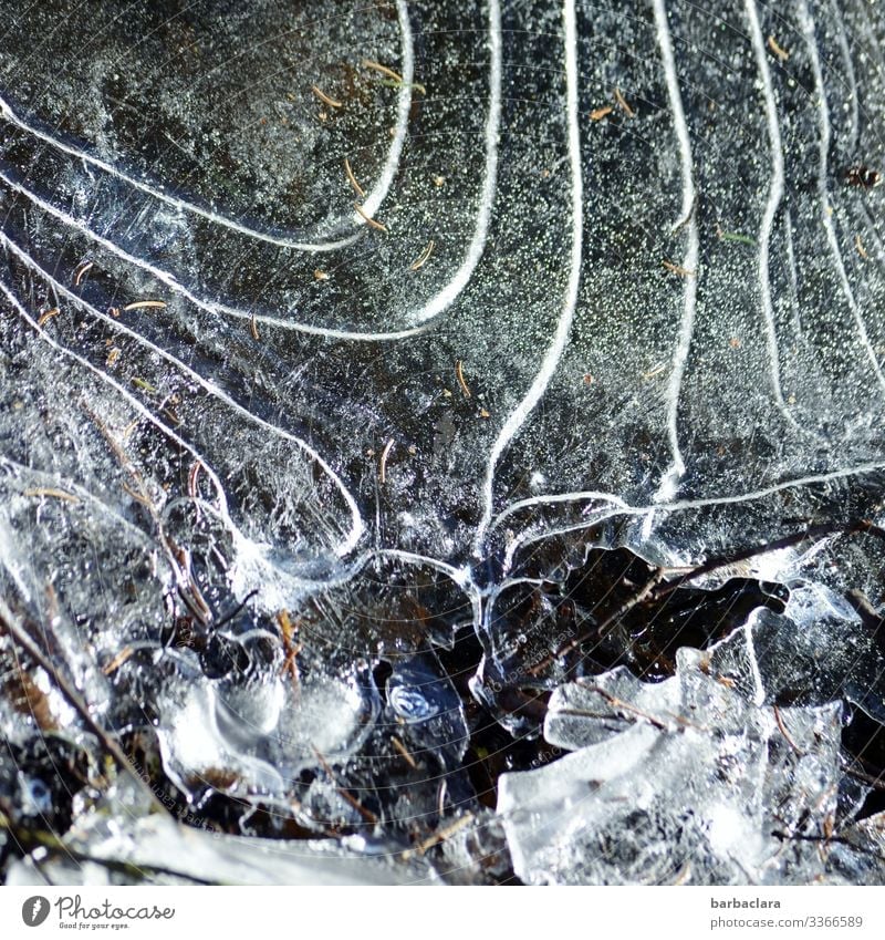 Eiszeit | Eisstruktur Urelemente Erde Wasser Winter Klima Frost leuchten hell kalt weiß ästhetisch Design Kunst Natur Umwelt Wandel & Veränderung Farbfoto