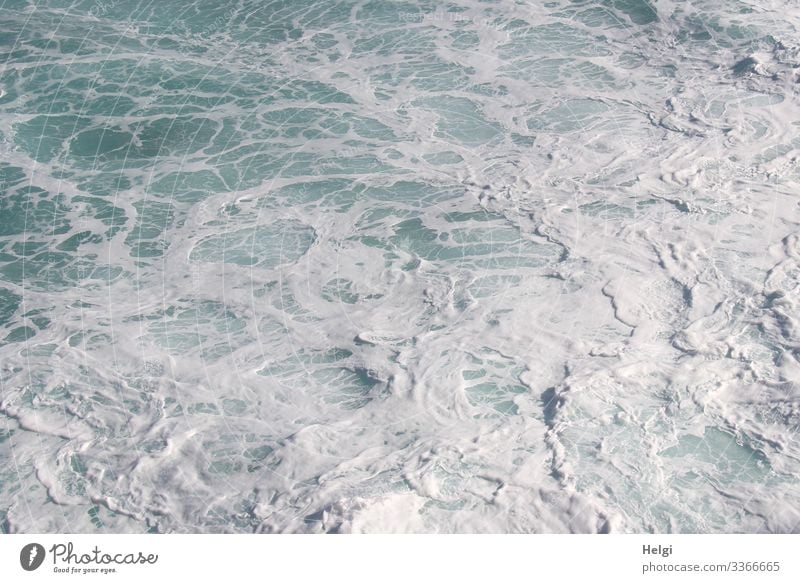 tosendes Meer mit Schaumbildung im Atlantik Umwelt Natur Wasser Insel Teneriffa Bewegung nass natürlich blau weiß bizarr Wandel & Veränderung Gischt Strömung
