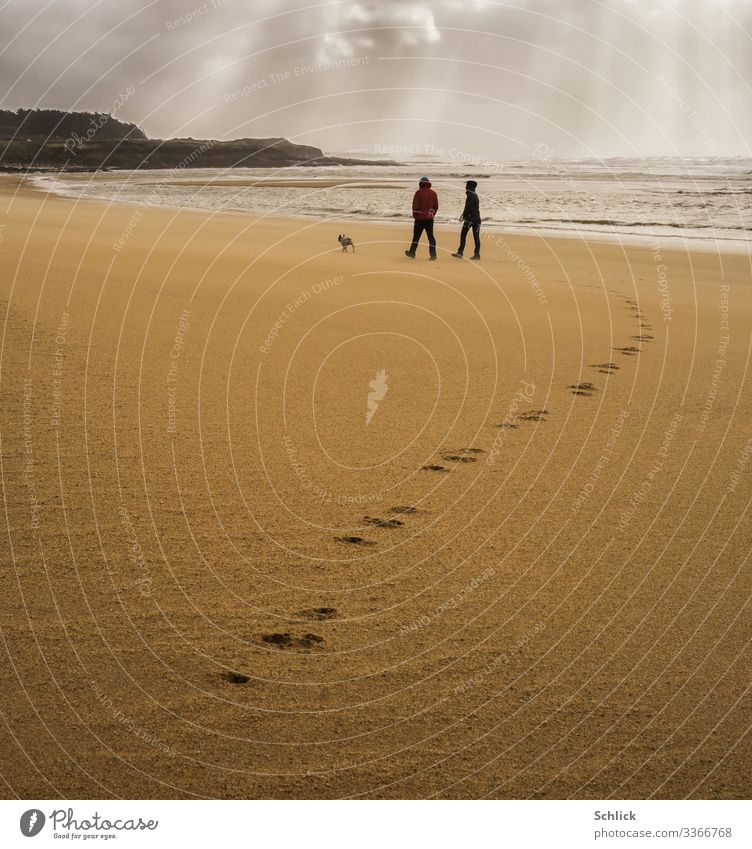 Paar mit Hund am Sandstrand in der Bretagne mit stürmischem Himmel und Fußspuren im Sand Mensch maskulin feminin Junge Frau Jugendliche Junger Mann 2 Tier