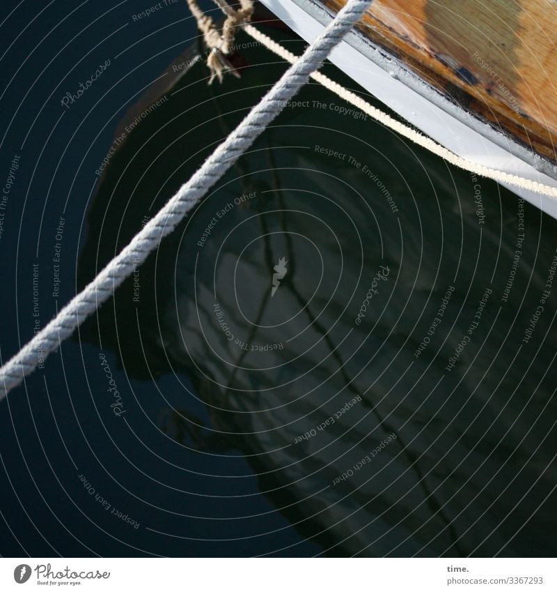 kein Entkommen | Seilschaft lebendig schönes wetter seil wasser still maritim nass boot schiffahrt spiegelung hafen ankern festgemacht ostsee sonnenlicht holz