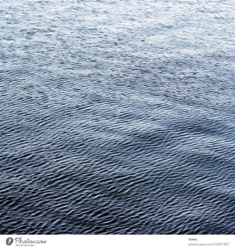 Lebenslinien #123 Umwelt Natur Wasser Wellen Ostsee Meer Linie dunkel maritim nass blau Wachsamkeit Neugier Angst Bewegung Erholung geheimnisvoll Inspiration