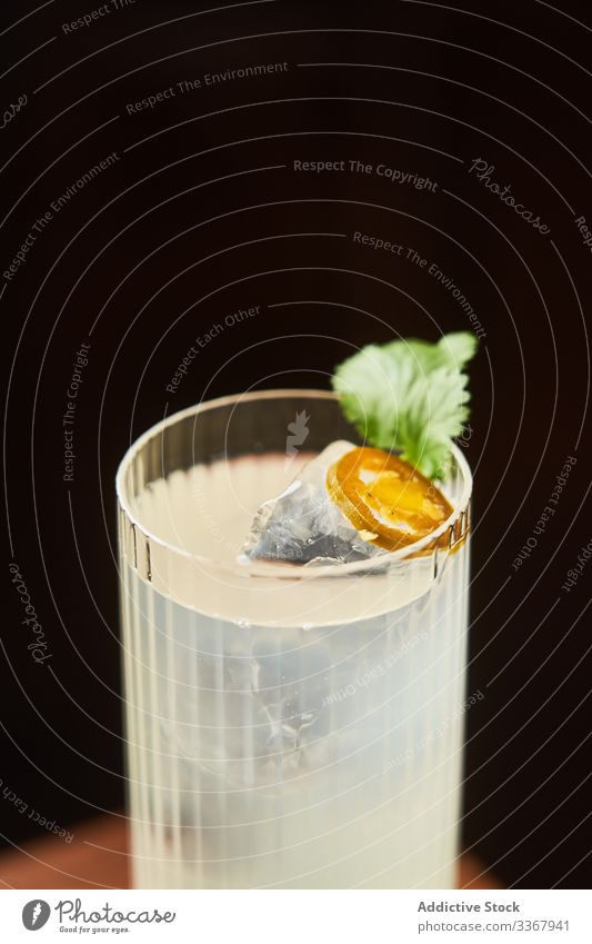 Glas Alkoholgetränk mit Tonikum Cocktail Tonic trinken klassisch Vodka Gin hochball Getränk Bar weiß Reichtum Aperitif Zitrone traditionell frisch liquide