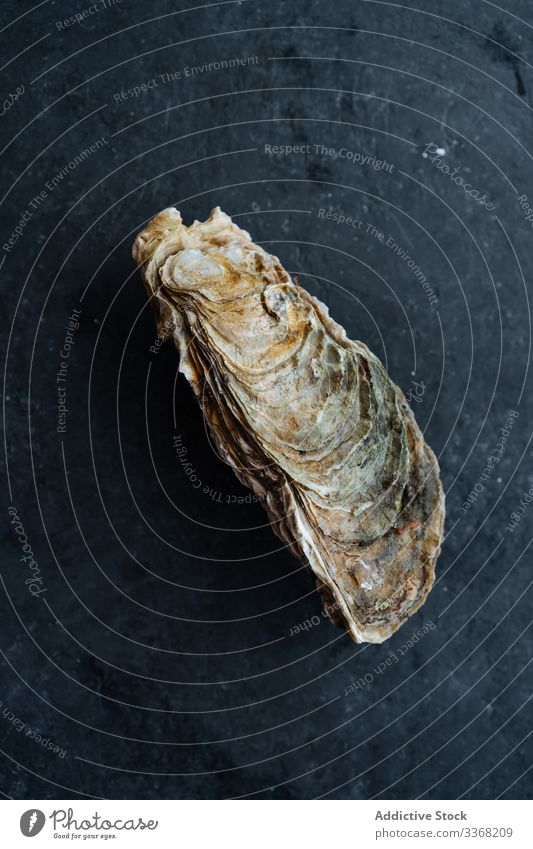 Rohe Muscheln auf schwarzem Tisch Meeresfrüchte roh Restaurant Bestandteil Panzer zugeklappt dreckig dunkel frisch ungekocht Vorbereitung Miesmuschel
