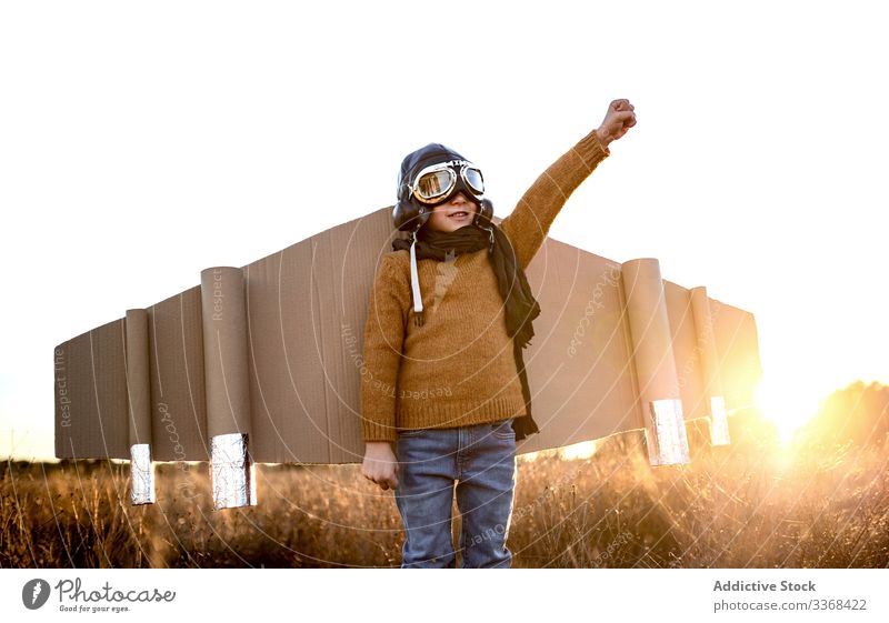 Fröhlicher kleiner Junge beim Fliegerspiel auf dem Land spielen träumen Spiel Landschaft Kind Schutzbrille Flügel Karton männlich Tracht Sohn Kindheit