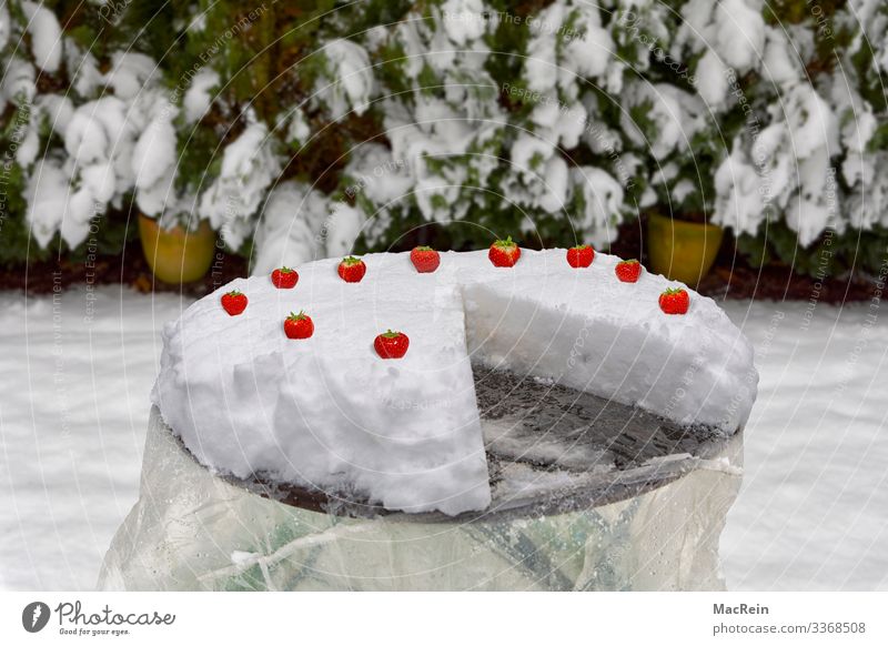 Eistorte Kuchen Winter Schnee Tisch rot weiß Erdbeeren Erdbeertorte Torte Speiseeis Symbole & Metaphern Menschenleer Textfreiraum gefroren Farbfoto
