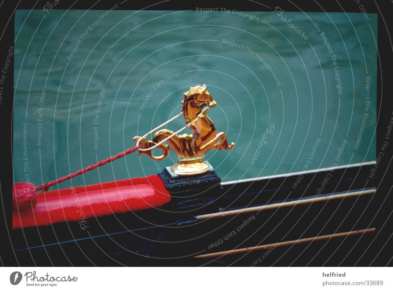 gondel Europa Italien Venedig Detailaufnahme Gondel (Boot) Tierfigur Bildausschnitt gold Skulptur skulptural