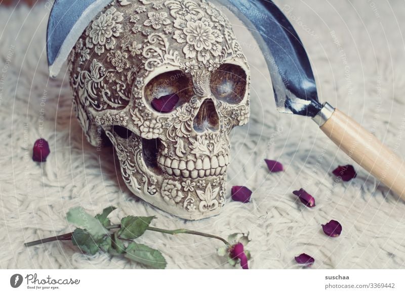 totenkopf mit sichel und rosenblätter auf flokati Schädel Tod Skelett Totenkopf gruselig Gewalt Politik Revolution Fotochallenge unheimlich Halloween Waffe