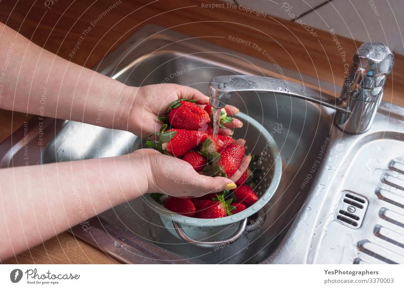 Reinigung von Erdbeeren in der Spüle. Hände waschen Früchte Frucht Dessert Bioprodukte Lifestyle Sieb frisch natürlich Sauberkeit Ackerbau reinigende Früchte