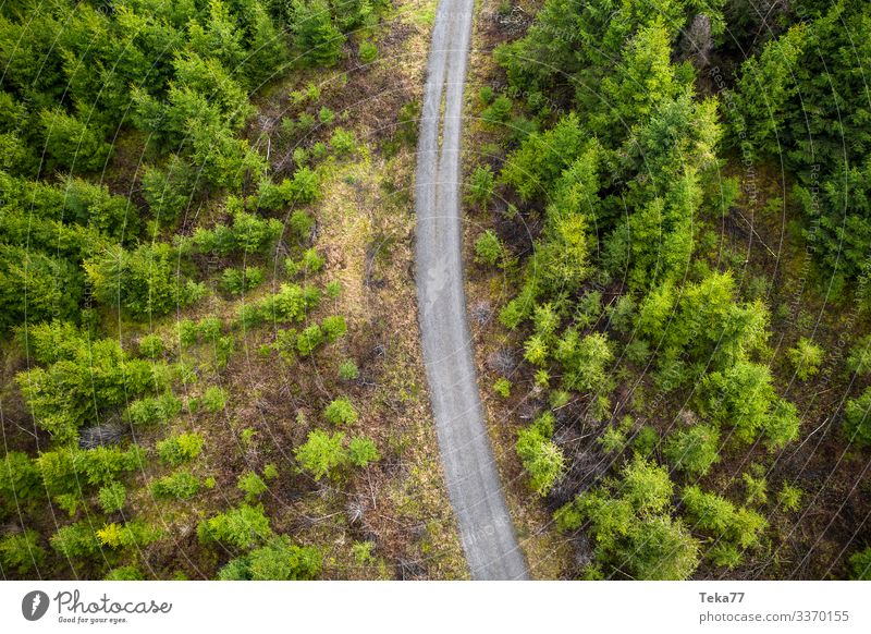 #Waldweg von Oben Winter Umwelt Natur Landschaft Pflanze ästhetisch Fußweg wandern Nadelwald Farbfoto Außenaufnahme Luftaufnahme