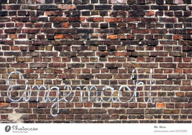 Eingemachte Mauer Wand alt marode Gebäude Haus Verfall Ruine Schriftzeichen dreckig Grafitti Typhographie Menschenleer Außenaufnahme Text Macht eingemacht