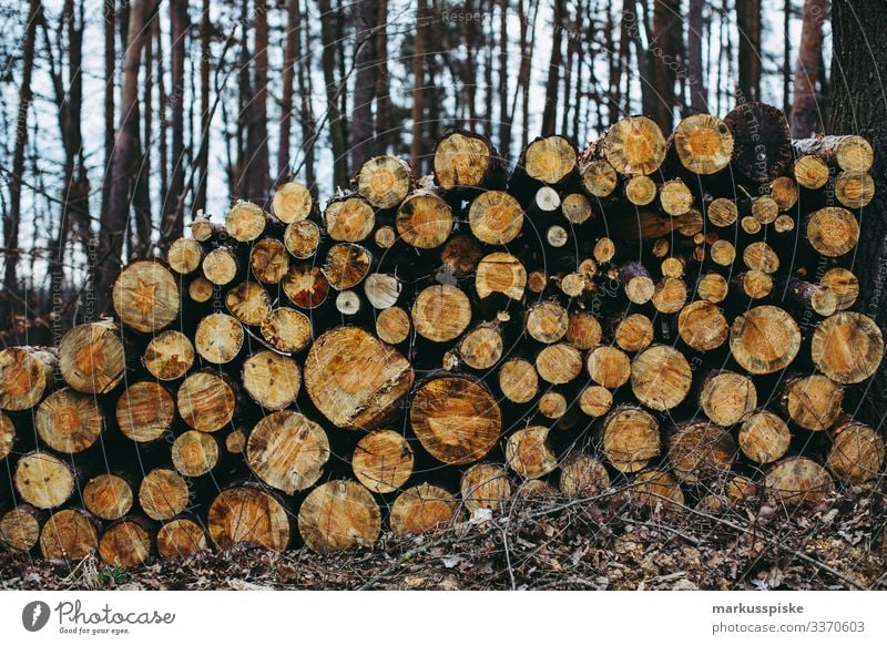 Holzstapel Brennholz Forstwirtschaft Langholz Forstarbeit Holzverarbeitung