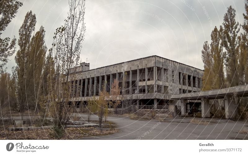 altes verlassenes leeres Gebäude in Tschernobyl Ukraine Haus Pflanze Herbst Baum Straße Stein grün Akzeptanz gefährlich Umweltverschmutzung Zerstörung Verlassen