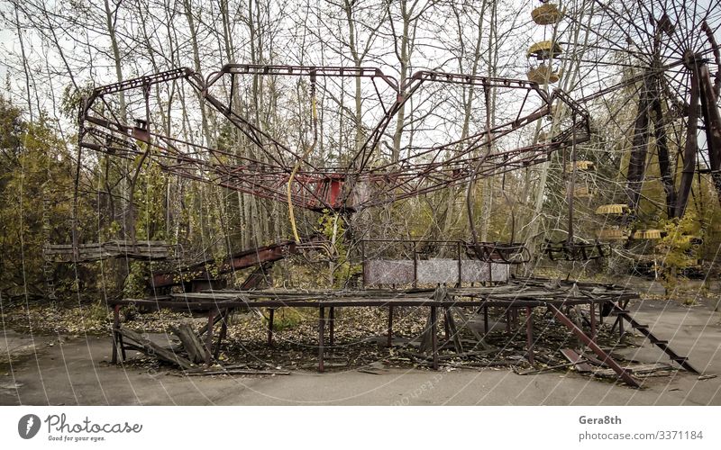 Karussell in einem verlassenen Vergnügungspark in Tschernobyl Pflanze Erde Baum alt trist gefährlich Desaster Ukraine verlassener Park Unfall Anziehungskraft