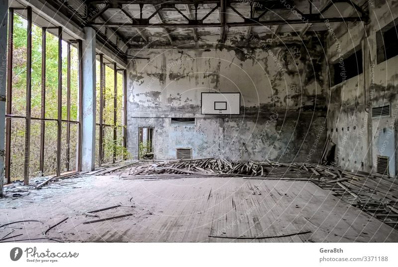 ruinierte Sporthalle in einer verlassenen Schule in Tschernobyl Pflanze Baum alt gefährlich Zerstörung verlassene Stadt Spielbrett Verunreinigung
