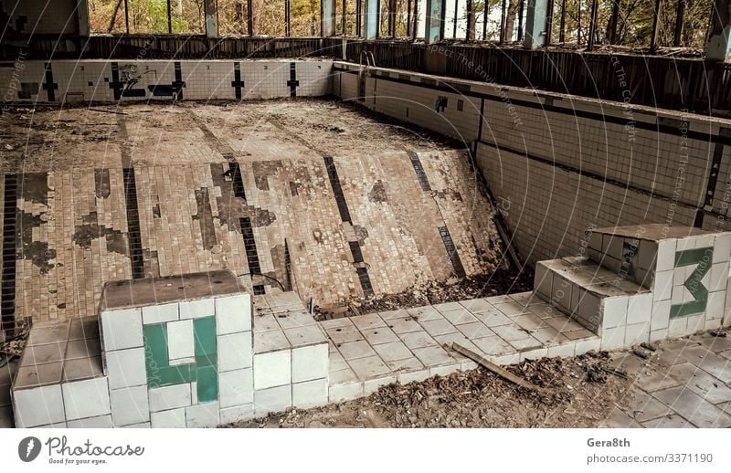 verlassenes Schwimmbad in Tschernobyl Ukraine Pflanze Herbst Baum Blatt alt Akzeptanz gefährlich Umweltverschmutzung Zerstörung Verlassen Unfall gebrochen