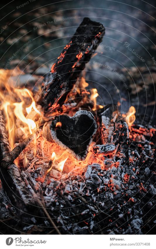 herz in flammen Holz Liebe Feuerstelle Herz Flamme Kohle heiß brennen Romantik Farbfoto