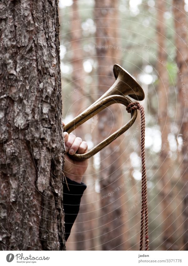 der wald ruft. Baumstamm fanfare Wald grün Baumrinde Blasinstrument Bläser Hand Natur Außenaufnahme Tag Seil Klang rufzeichen