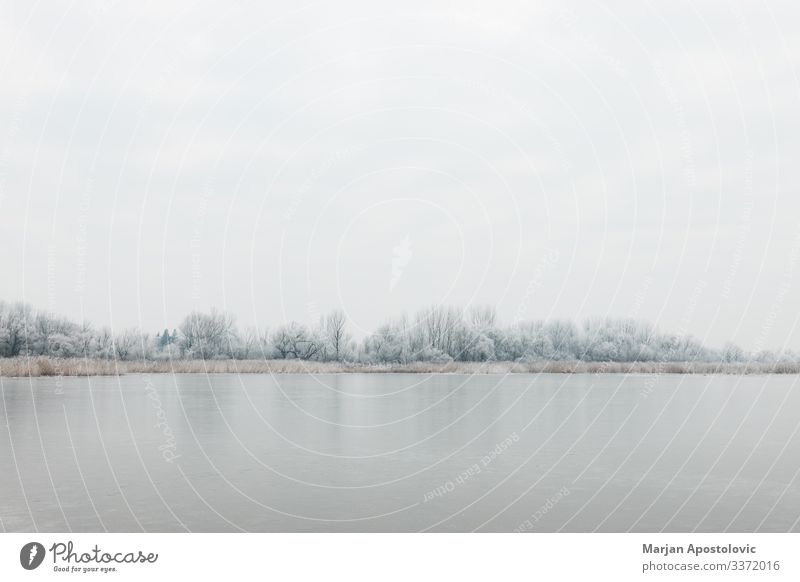 Landschaft eines zugefrorenen Sees am Wintermorgen Umwelt Natur Pflanze Wasser Himmel Klima Wetter Eis Frost Baum Flussufer Teich kalt natürlich wild Stimmung