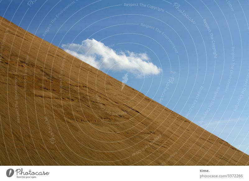 Holsteiner Wüste (I) Umwelt Natur Landschaft Sand Himmel Wolken Frühling Schönes Wetter Hügel Sandhaufen ästhetisch hoch Zusammensein Leben Neugier Überraschung