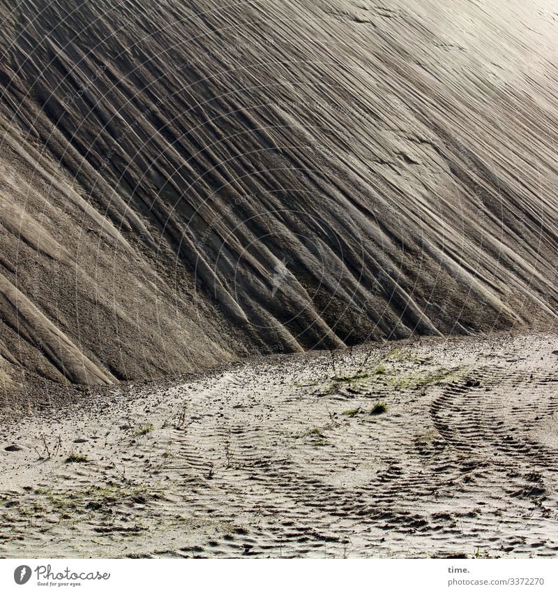 Holsteiner Wüste (III) geheimnisvoll linien Umwelt Landschaft Hügel Schönes Wetter Sand Sandhaufen Zusammensein Inspiration Perspektive Material Lagerplatz