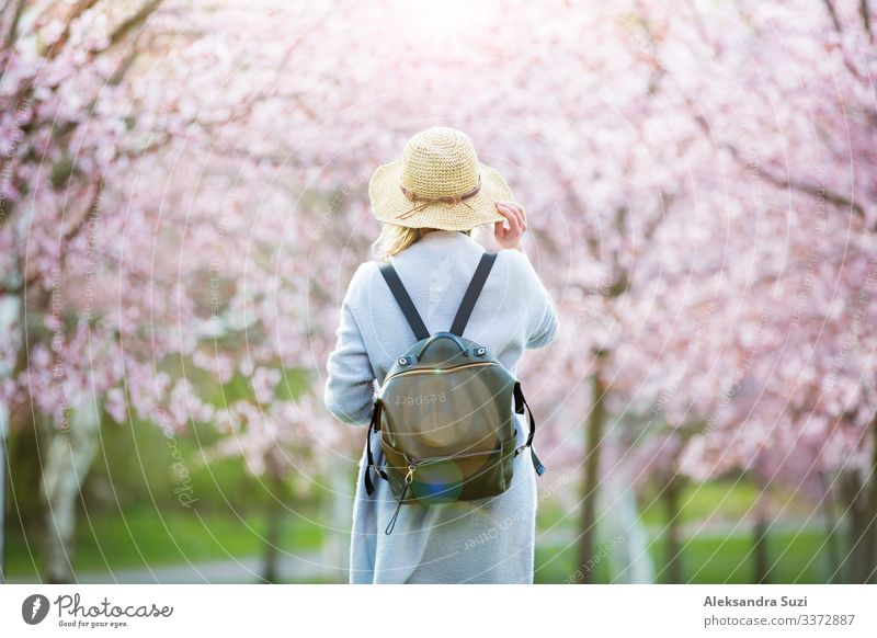 Frau mit Strohhut reist im Park mit Kirschbäumen Abenteuer Rücken Blume Blüte Kirsche entdecken Finnland Garten Helsinki Japan Japanisch Landschaft Örtlichkeit