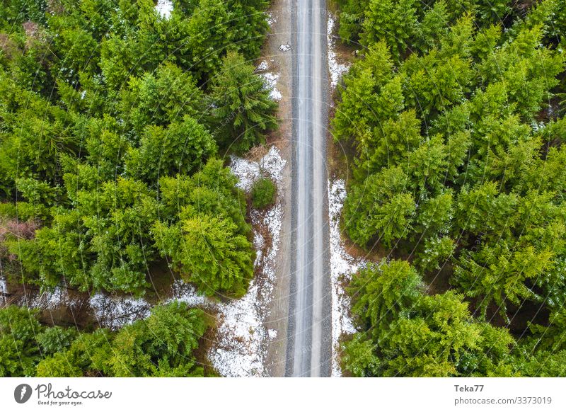 #Waldweg im Winter von Oben Umwelt Natur Landschaft Verkehr Verkehrswege ästhetisch Fußweg Farbfoto Außenaufnahme Luftaufnahme