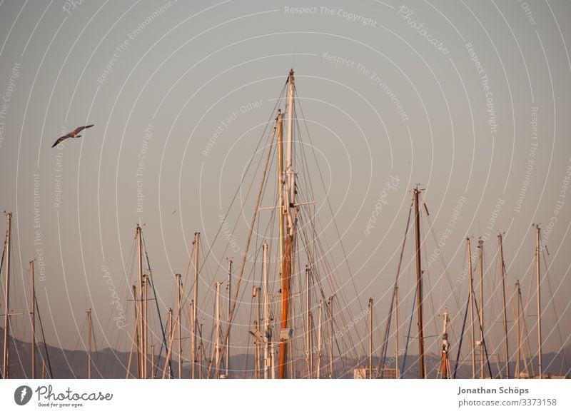Segelboote still im Hafen Licht Textfreiraum oben Menschenleer Außenaufnahme Farbfoto genießen Erholung Mast Reisefotografie Ferien & Urlaub & Reisen