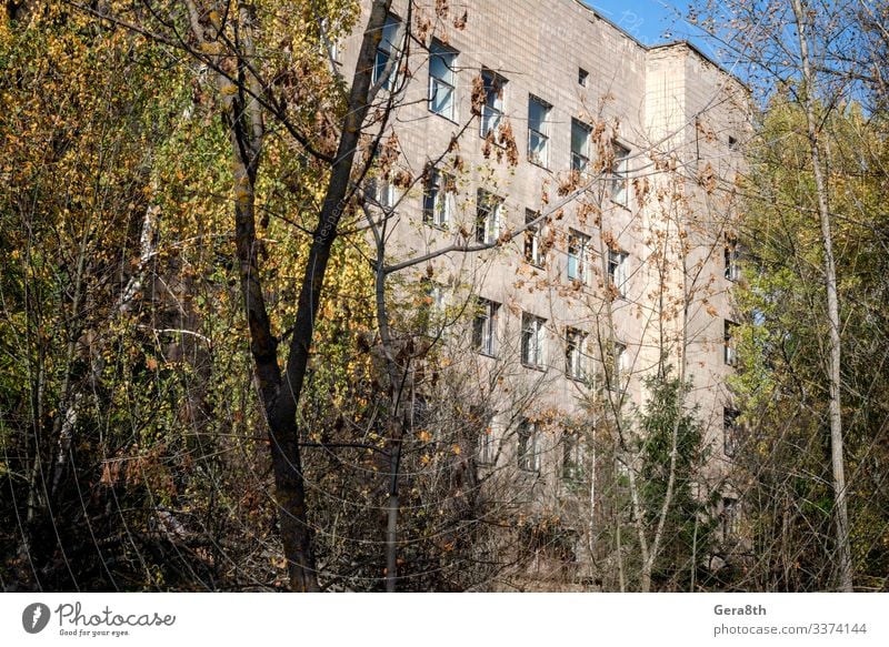 Krankenhaus in einer verlassenen infizierten Stadt in Tschernobyl Medikament Ferien & Urlaub & Reisen Tourismus Ausflug Pflanze Herbst Baum Gebäude bedrohlich