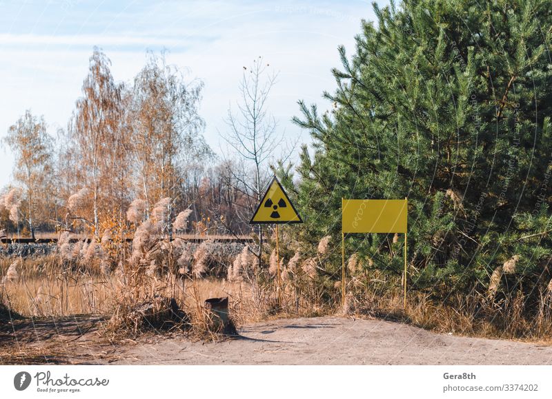 Anzeichen einer radioaktiven Verseuchung in einem Wald in Tschernobyl Teller Ferien & Urlaub & Reisen Tourismus Ausflug Natur Landschaft Pflanze Himmel Wolken