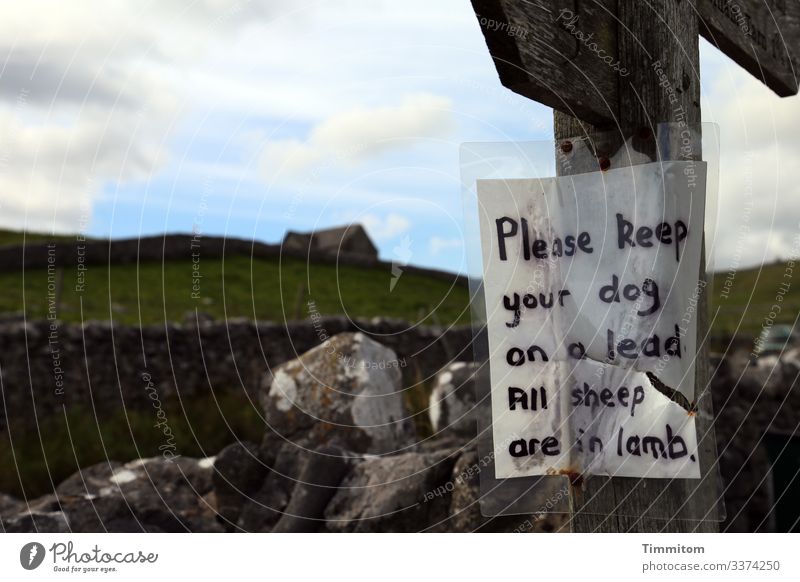 Wegen der Schafe...Hunde an die Leine! Yorkshire Großbritannien Hügel Hinweisschild Lammzeit Haus Steinmauer Ferien & Urlaub & Reisen Umwelt grün Himmel Wolken