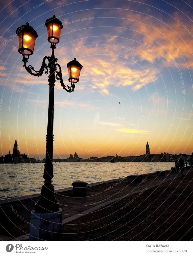 Sonnenuntergang in Venedig Stil Ferien & Urlaub & Reisen Tourismus Freiheit Sightseeing Städtereise Meer Italien Stadt Hafenstadt Menschenleer Turm