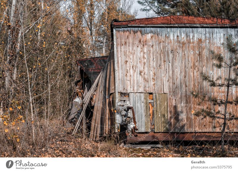 Ruinen eines Holzhauses in Tschernobyl Ukraine im Herbst Ferien & Urlaub & Reisen Tourismus Ausflug Haus Gebäude Architektur Straße bedrohlich gefährlich