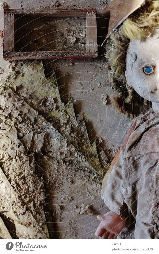 Zeit Ukraine Tod Verfall Vergänglichkeit Zukunft Puppe Puppenauge Farbfoto Innenaufnahme Menschenleer Tag Blick in die Kamera
