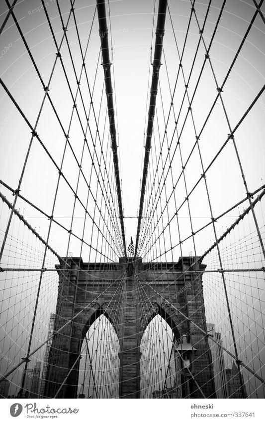 No sleep till Brooklyn New York City USA Stadt Brücke Architektur Sehenswürdigkeit Brooklyn Bridge Netzwerk Schwarzweißfoto Außenaufnahme