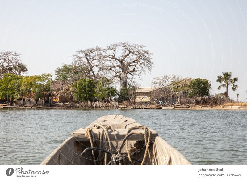 Blick auf Einbaum auf kleines Inseldorf in der Casamance Boot Piroge Schiff Fischer Angler Seile Anker Bug Wasser Fluss Sumpf Mangroven Senegal Dorf afrika Baum